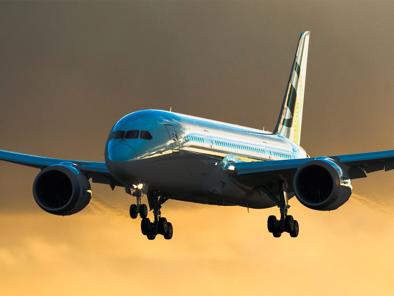 Boeing Business Jet (BBJ) vip airliner for New York charter